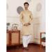 Picture of Stunning Chiffon Tan Kurtas