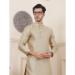 Picture of Bewitching Chiffon Tan Kurtas