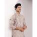 Picture of Marvelous Rayon Thistle Kurtas