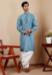 Picture of Splendid Chiffon Cadet Blue Kurtas