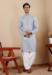 Picture of Gorgeous Chiffon Light Steel Blue Kurtas