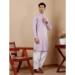 Picture of Magnificent Chiffon Thistle Kurtas