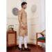 Picture of Marvelous Silk Tan Kurtas