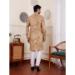 Picture of Marvelous Silk Tan Kurtas