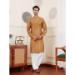 Picture of Delightful Silk Peru Kurtas