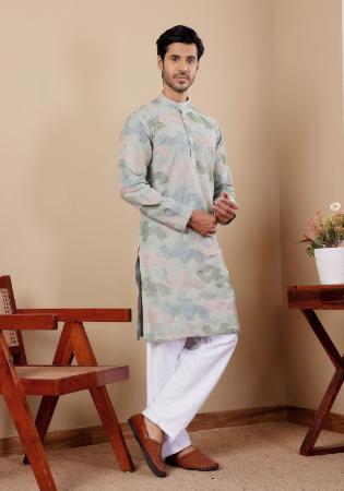 Picture of Classy Linen Silver Kurtas