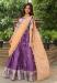 Picture of Beauteous Cotton Rosy Brown Lehenga Choli