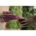 Picture of Chiffon & Silk Maroon Straight Cut Salwar Kameez