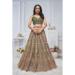 Picture of Ideal Net Dark Olive Green Lehenga Choli