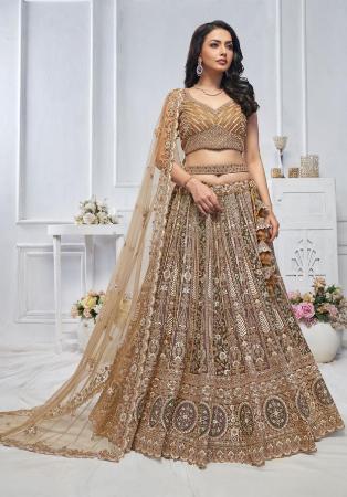 Picture of Sightly Net Rosy Brown Lehenga Choli