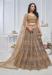 Picture of Sightly Net Rosy Brown Lehenga Choli