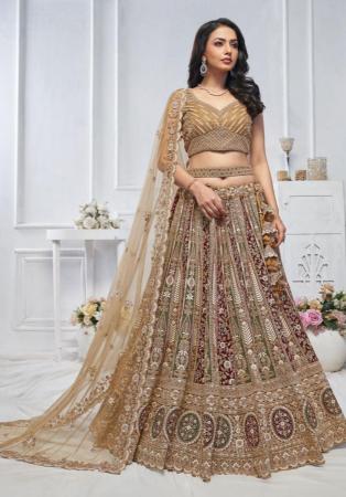 Picture of Exquisite Net Sienna Lehenga Choli