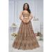 Picture of Exquisite Net Sienna Lehenga Choli