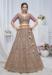 Picture of Alluring Net Plum Lehenga Choli