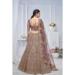 Picture of Alluring Net Plum Lehenga Choli