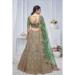 Picture of Marvelous Net Medium Sea Green Lehenga Choli