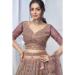 Picture of Beauteous Net Grey Lehenga Choli