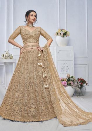 Picture of Lovely Net Tan Lehenga Choli