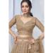 Picture of Lovely Net Tan Lehenga Choli