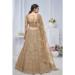 Picture of Lovely Net Tan Lehenga Choli