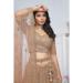 Picture of Sightly Net Rosy Brown Lehenga Choli