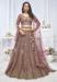 Picture of Taking Net Plum Lehenga Choli