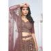 Picture of Taking Net Plum Lehenga Choli