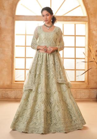 Picture of Alluring Net Tan Lehenga Choli