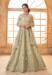 Picture of Alluring Net Tan Lehenga Choli