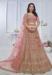 Picture of Shapely Net Dark Khaki Lehenga Choli