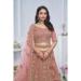 Picture of Shapely Net Dark Khaki Lehenga Choli