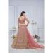 Picture of Shapely Net Dark Khaki Lehenga Choli