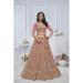 Picture of Shapely Net Dark Khaki Lehenga Choli