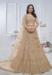 Picture of Comely Net Beige Lehenga Choli