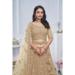 Picture of Comely Net Beige Lehenga Choli