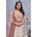 Picture of Stunning Net Plum Lehenga Choli