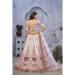 Picture of Stunning Net Plum Lehenga Choli