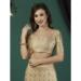 Picture of Enticing Chiffon Tan Saree