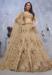 Picture of Delightful Net & Organza Beige Lehenga Choli