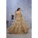 Picture of Delightful Net & Organza Beige Lehenga Choli