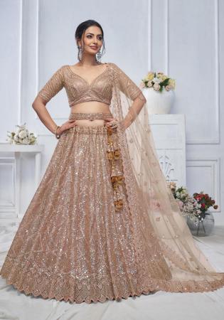 Picture of Net & Organza Blanched Almond Lehenga Choli