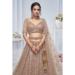 Picture of Net & Organza Blanched Almond Lehenga Choli