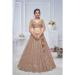 Picture of Net & Organza Blanched Almond Lehenga Choli