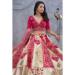 Picture of Ideal Net & Organza Rosy Brown Lehenga Choli