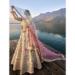 Picture of Delightful Silk Rosy Brown Lehenga Choli