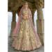 Picture of Delightful Silk Tan Lehenga Choli