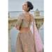 Picture of Pretty Silk Light Pink Lehenga Choli