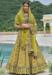 Picture of Charming Silk Peru Lehenga Choli