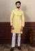 Picture of Ravishing Silk Khaki Kurtas