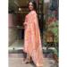 Picture of Rayon & Silk Light Coral Readymade Salwar Kameez